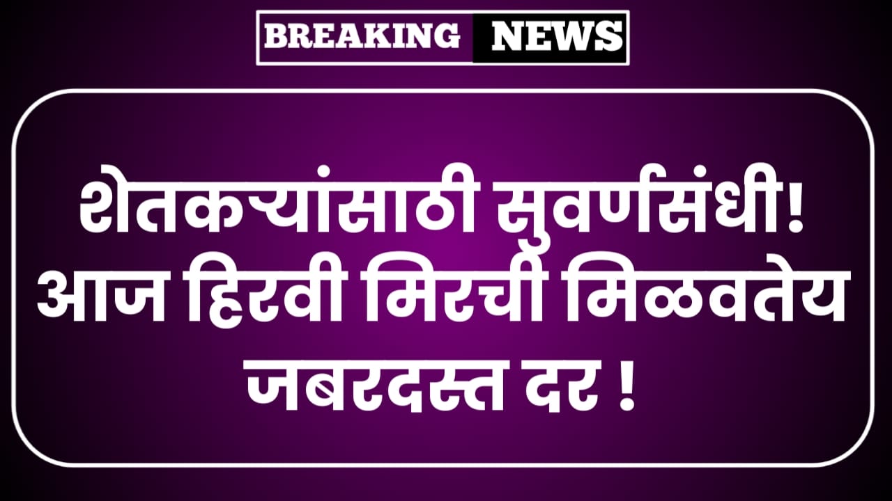 शेतकऱ्यांसाठी सुवर्णसंधी! आज हिरवी मिरची मिळवतेय जबरदस्त दर ! Hirvi Mirchi Bajar bhav