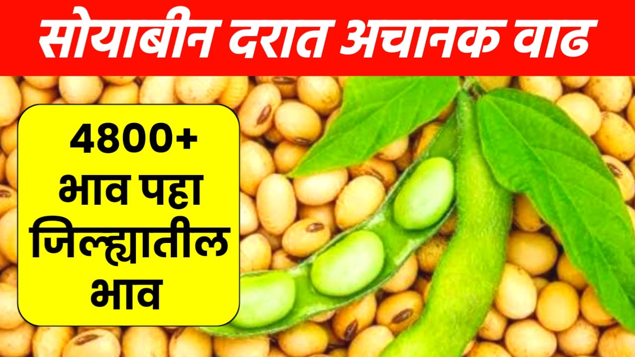 Soyabean Bhav Aajche