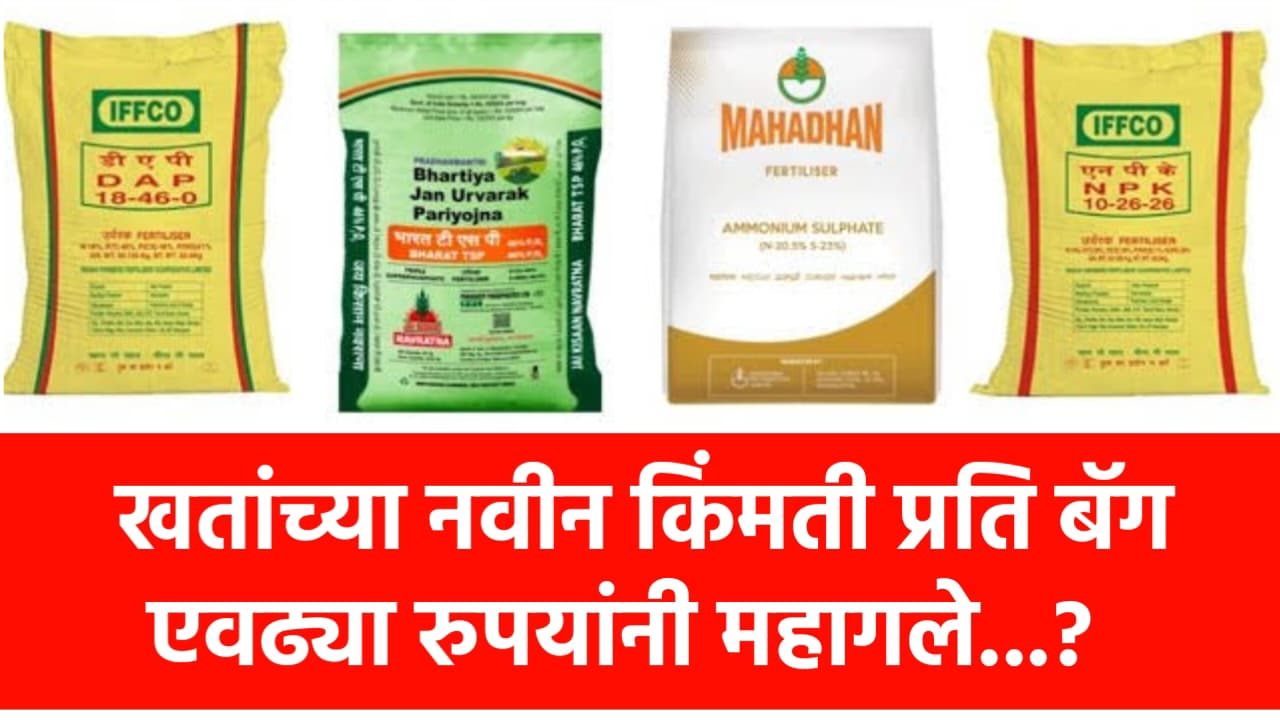 Subsidy fertilizers 2025