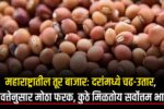 tur market bhav 2025